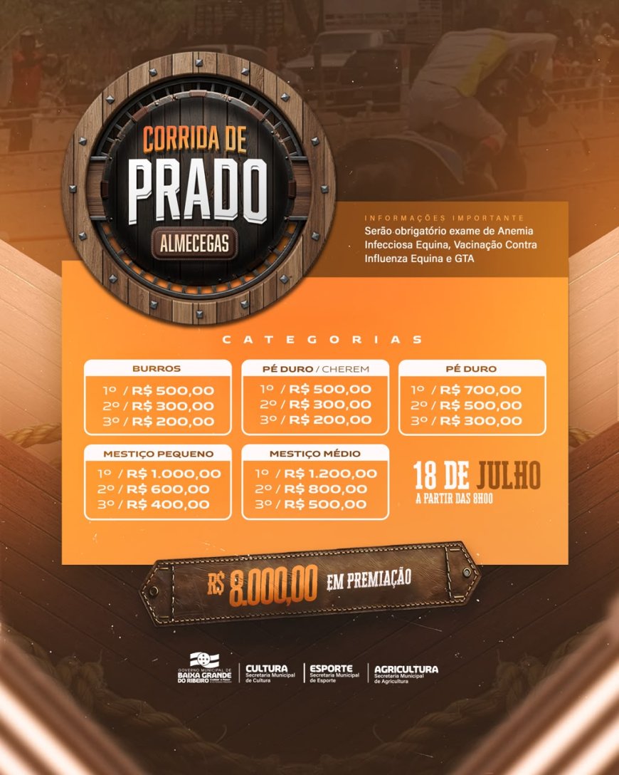 Cultura, música e tradição reunidas no Festejo de Almecegas!