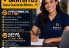 CURSOS PROFISSIONALIZANTES GRATUITOS EM BAIXA GRANDE DO RIBEIRO – PI