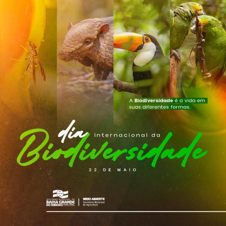 Dia Internacional da Biodiversidade