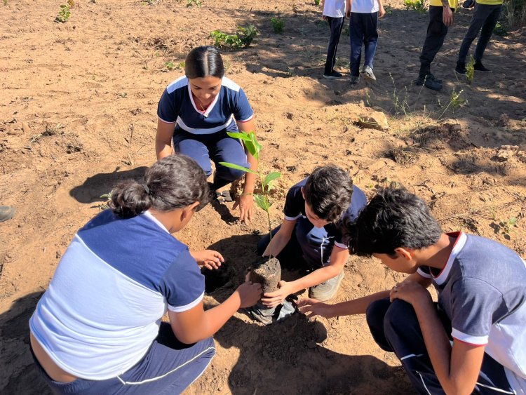 Ação em Alusão ao Dia Mundial do Meio Ambiente